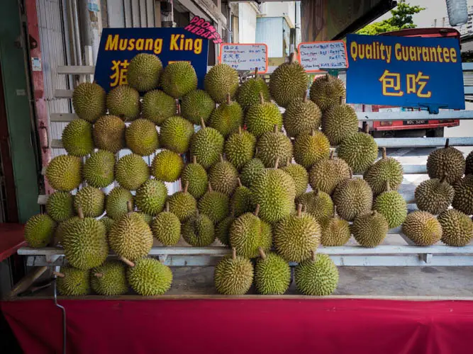 Jackfruit vs durian