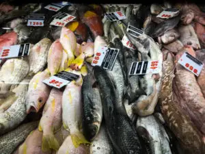 Springvale Market Fish Selection