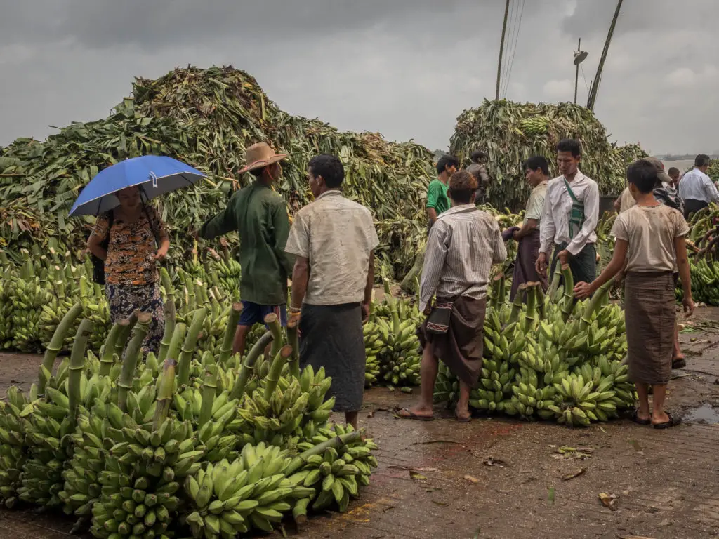 banana market yangon