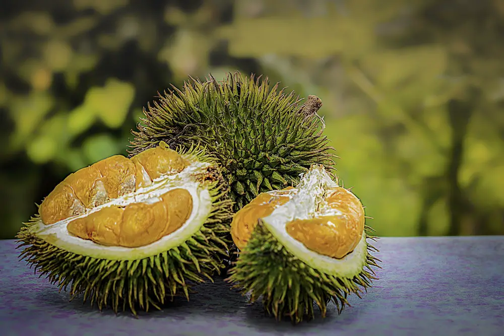 Indonesian fruits, List of yellow fruits, Fruits of Vietnam, Malaysian Fruits