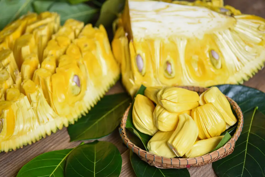 jackfruit pieces, Fruits in Singapore, Jackfruit vs Durian