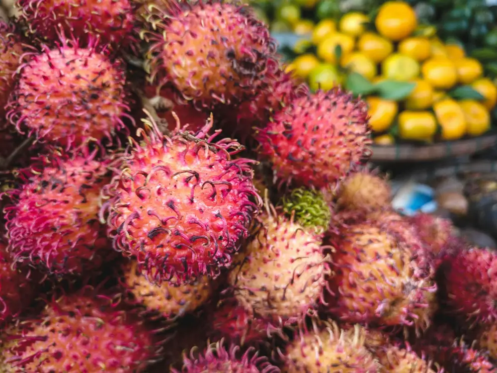 Rambutan is a hairy Vietnamese fruit