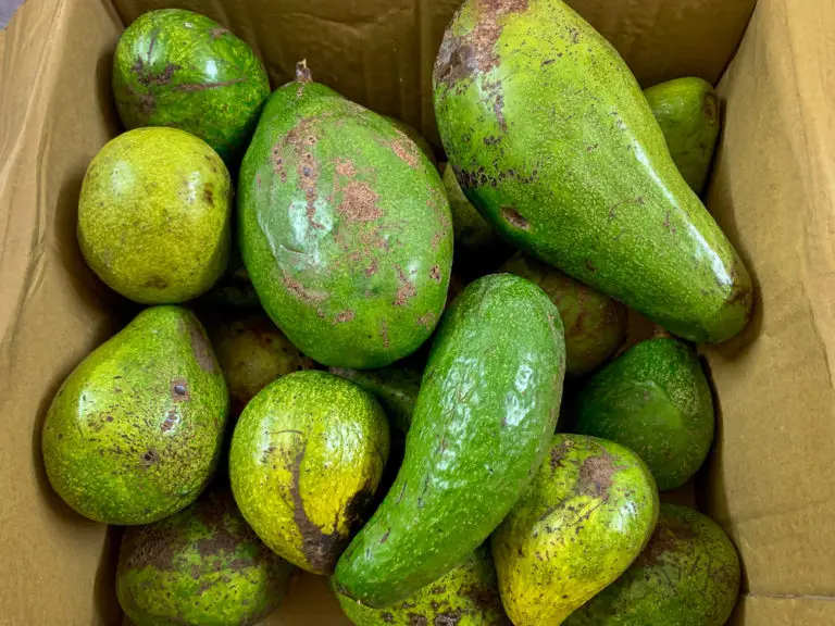 Fruits of Vietnam Guide to Eating Vietnamese Fruits The Roaming Fork