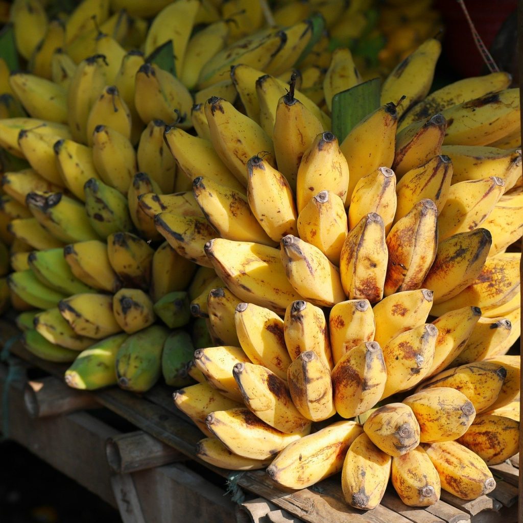 bananas are tropical fruits