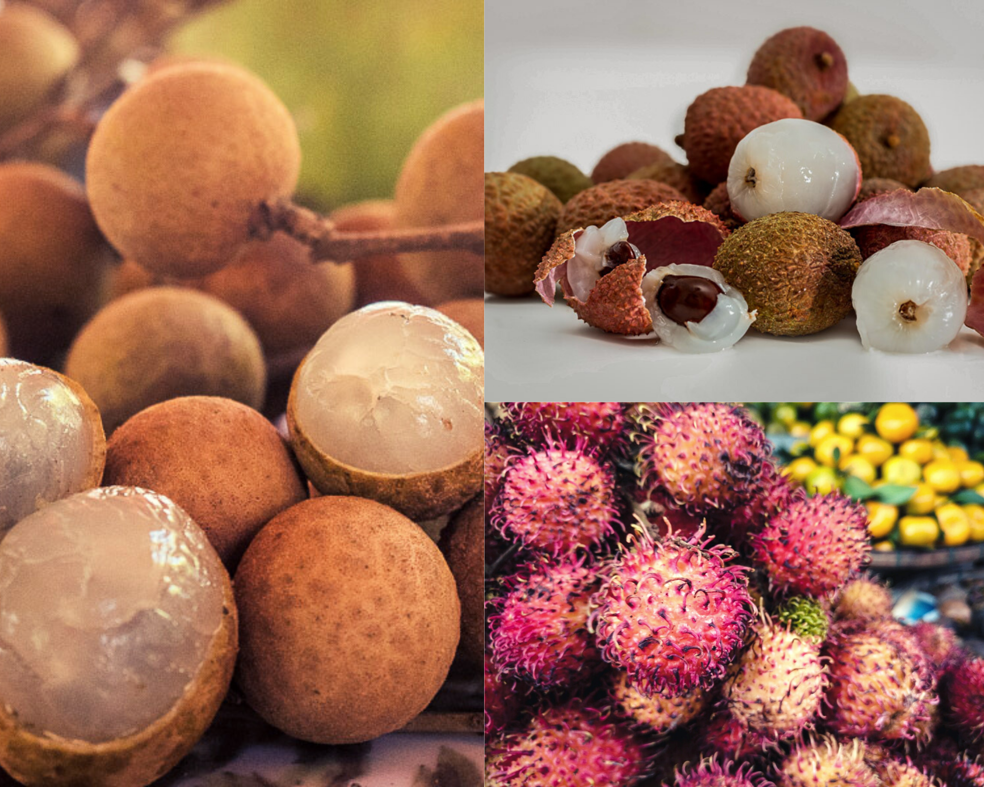 Longan Fruit Vs Lychee