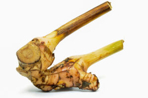 galangal vs. ginger