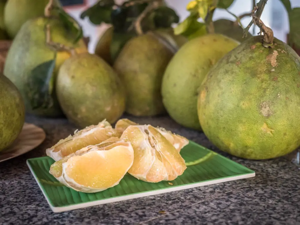 What is pomelo fruit?