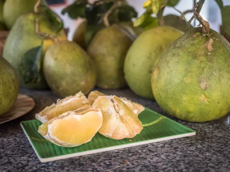 What is Pomelo Fruit? A Guide to This Refreshing Citrus Fruit The