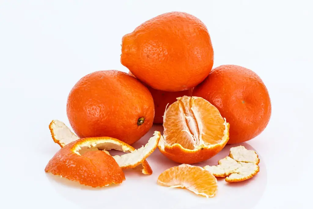 Tangelo, like ugli fruit and sweet orange are citrus fruits with a juicy pulp and the fruit tastes similar to a ripe pink grapefruit fruit en t
