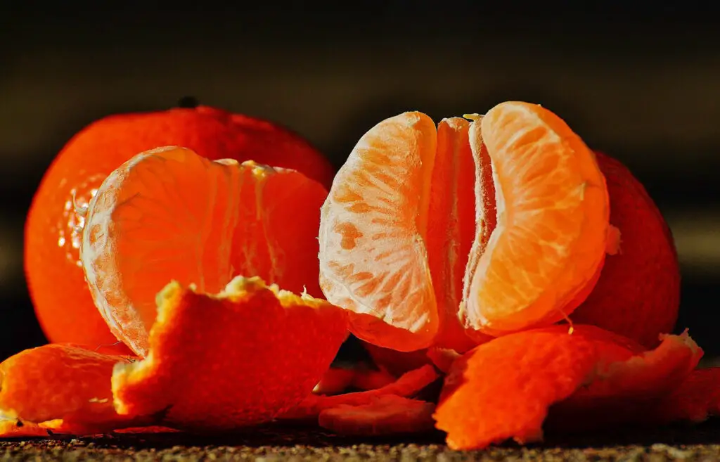 similar to mandarin oranges fruit en t