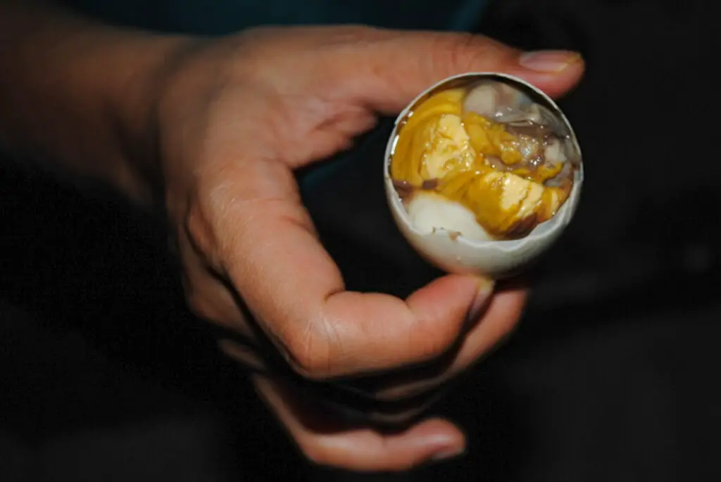 Balut is an exotic food in the Philippines. It is a duck embryo.