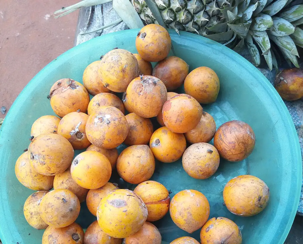African Fruits