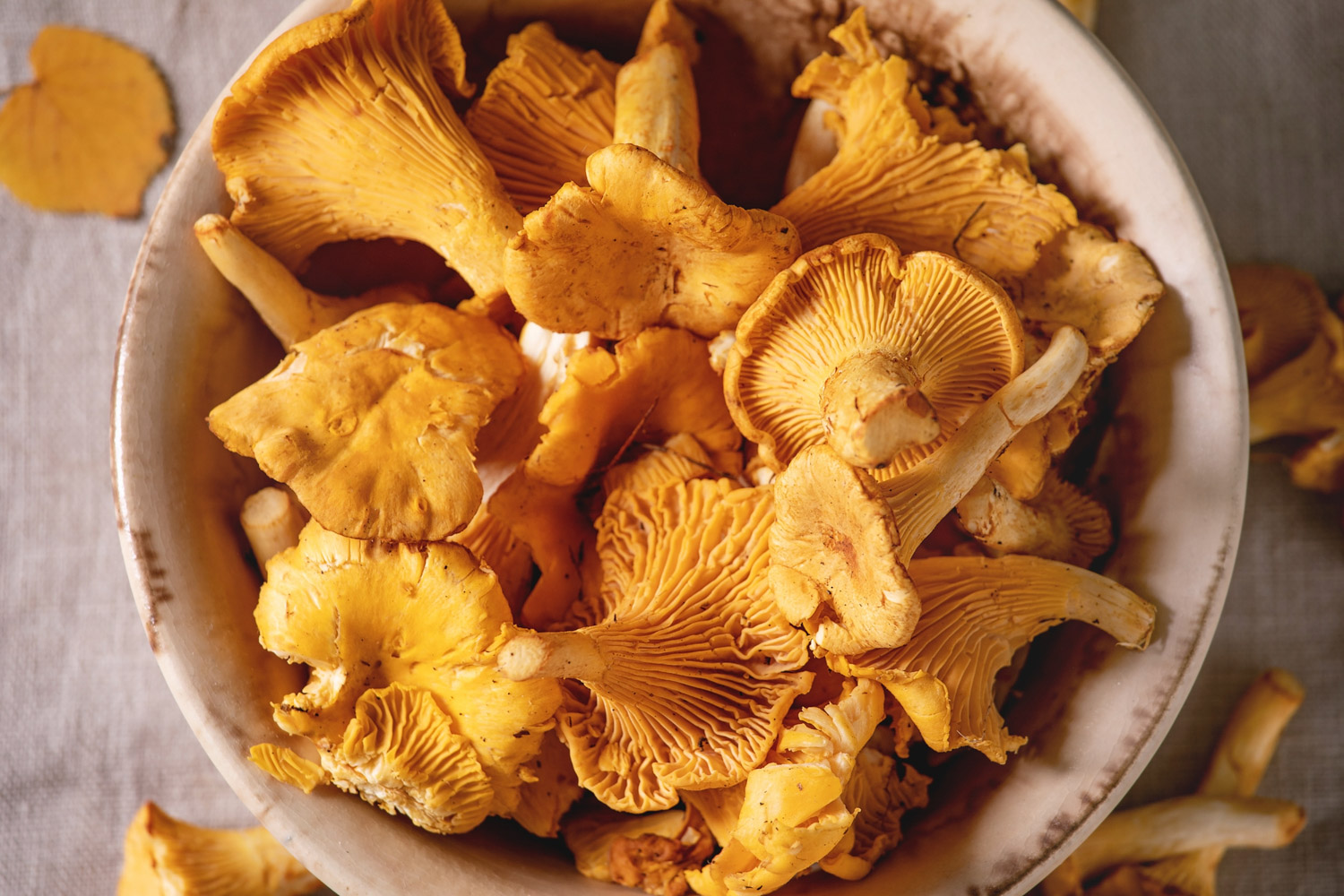 10 Tastiest Oyster Mushrooms Substitute The Roaming Fork