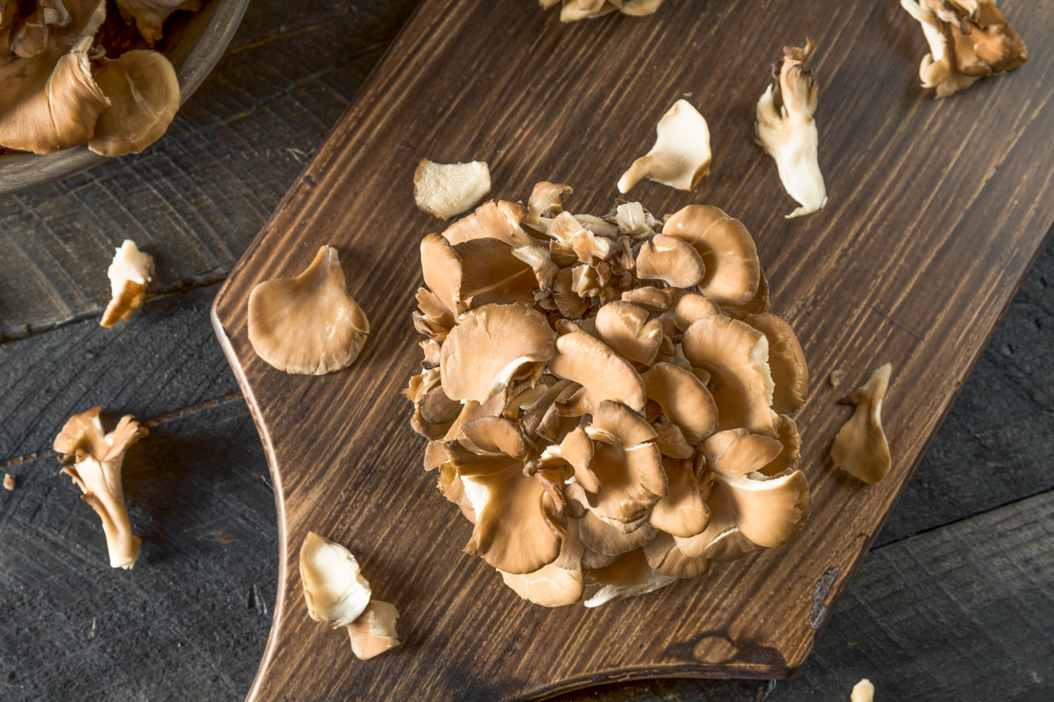 10 Tastiest Oyster Mushrooms Substitute The Roaming Fork