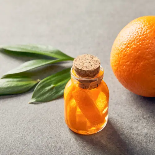 orange extract substitute