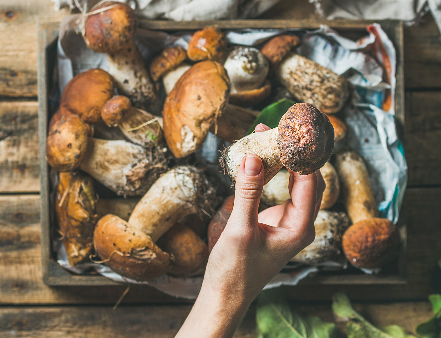 Best Earthy Porcini Mushroom Substitute The Roaming Fork