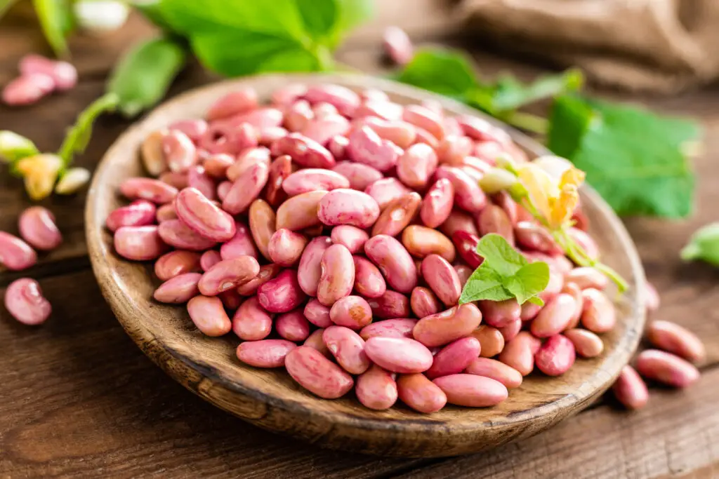 butter beans substitute substitute for borlotti beans