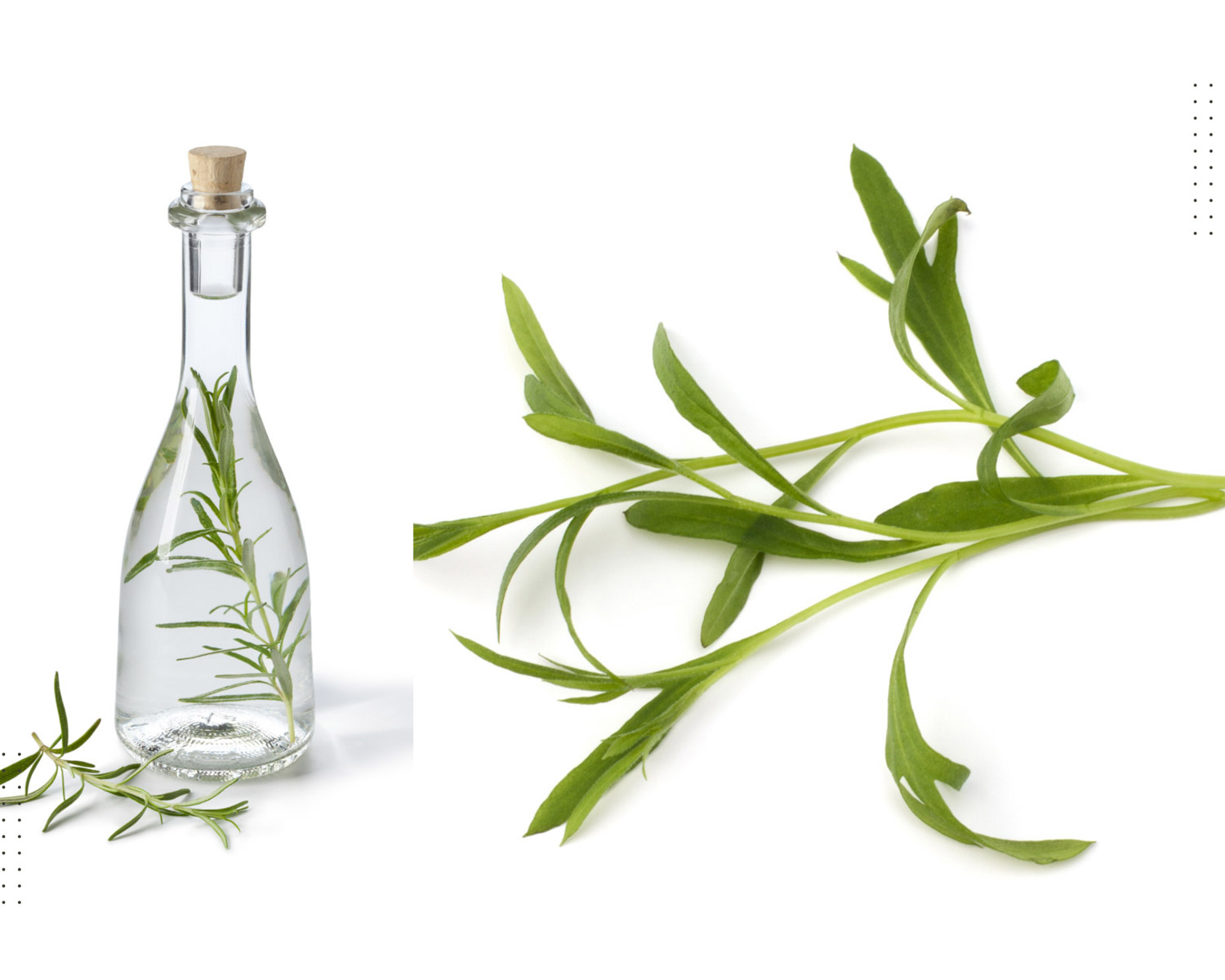 9 Substitutes For Tarragon Vinegar - The Roaming Fork