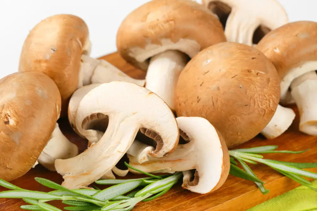 porcini mushroom substitute