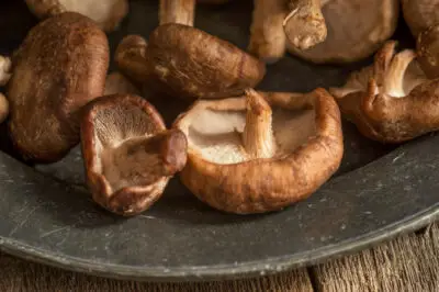 substitute for shiitake mushroom