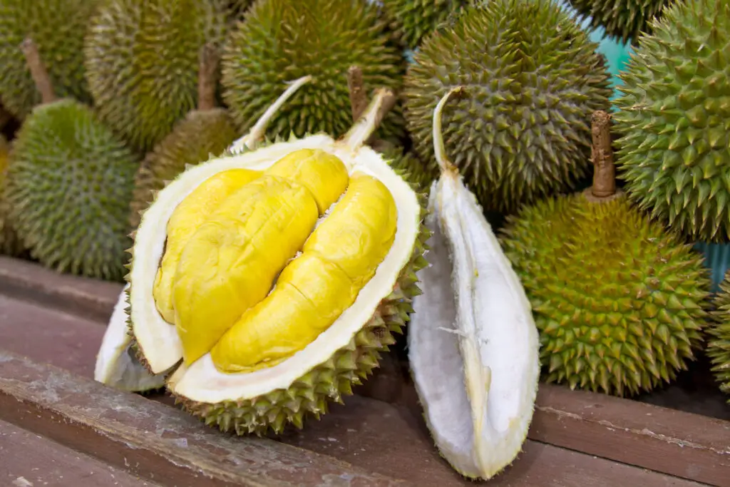 Jackfruit vs durian
