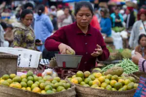 Indonesian Fruits