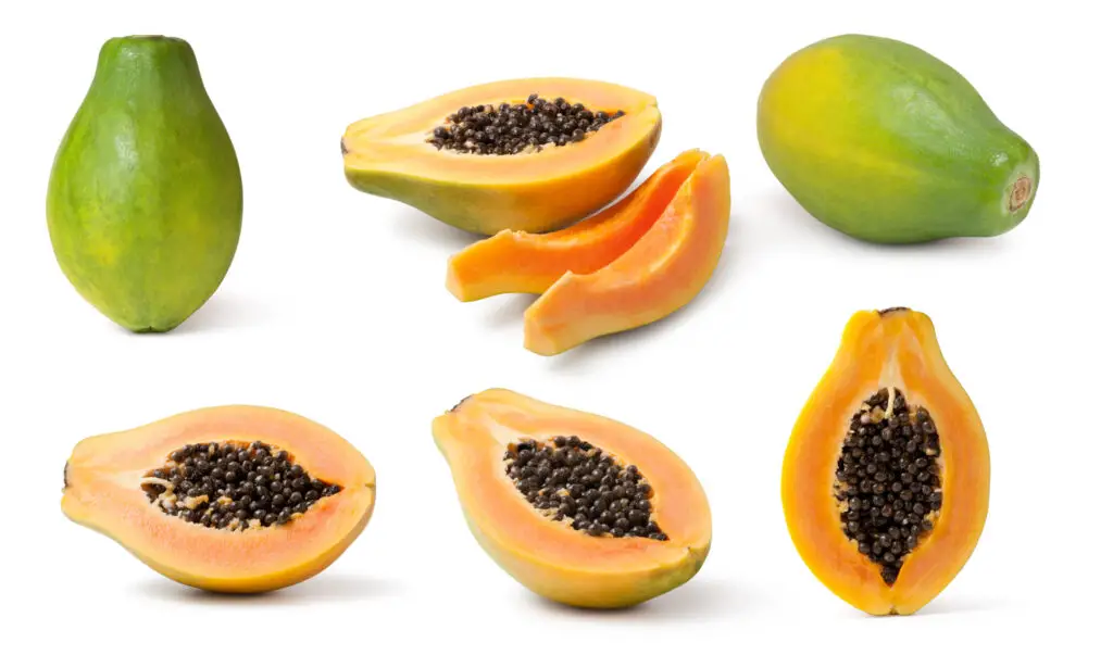 different types of papaya