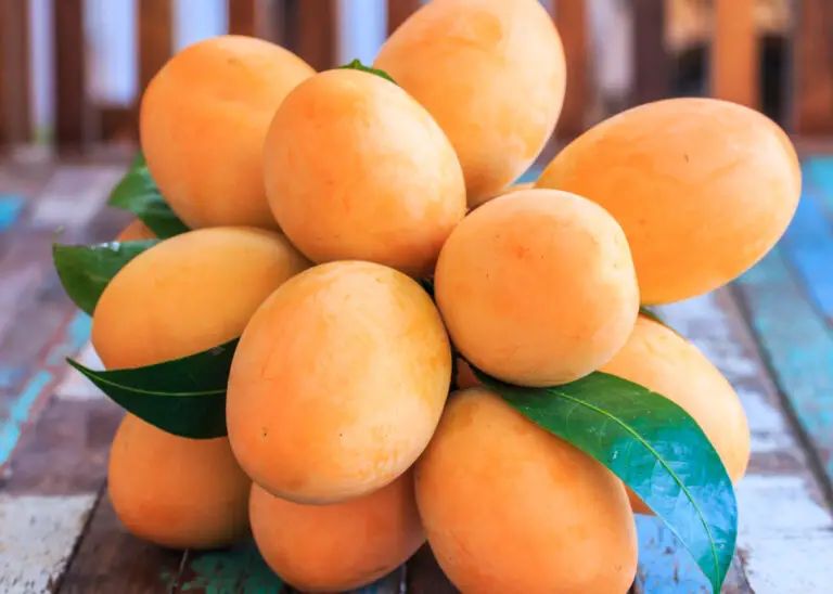 Exploring The Delicious Fruits in Cambodia The Roaming Fork