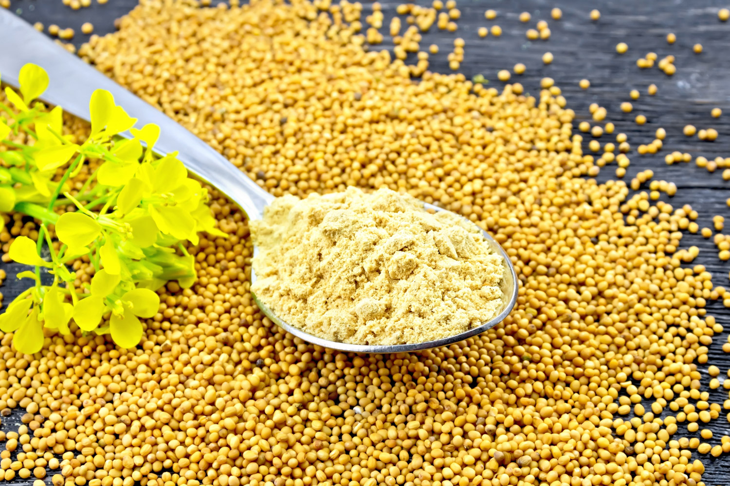 The Best Substitute for Poppy Seeds for the Nutty and Crunchy