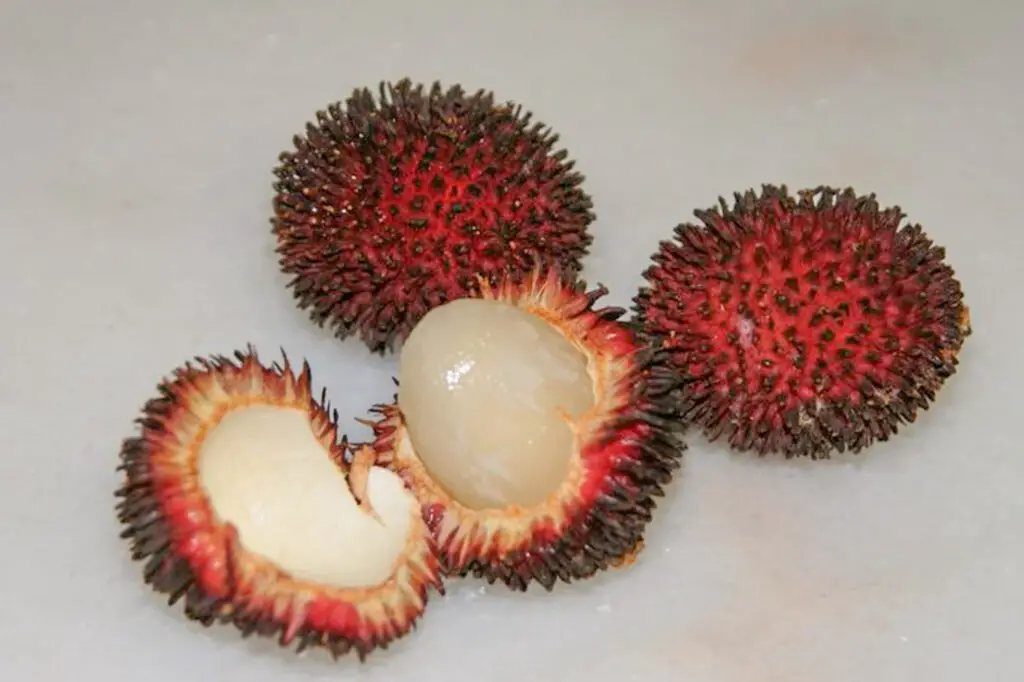 Malaysian Fruits
