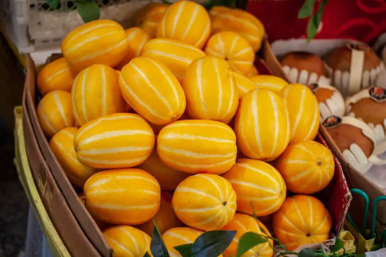 Korean Melon A Guide to Taste, Origin, and More! The Roaming Fork