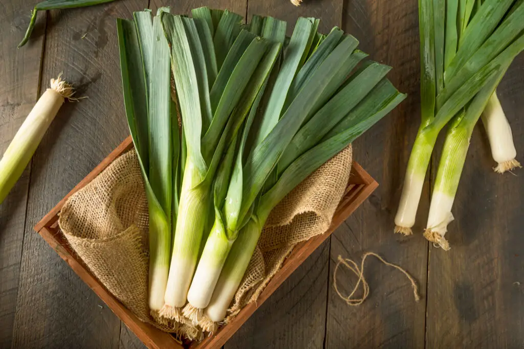 spring onion substitute