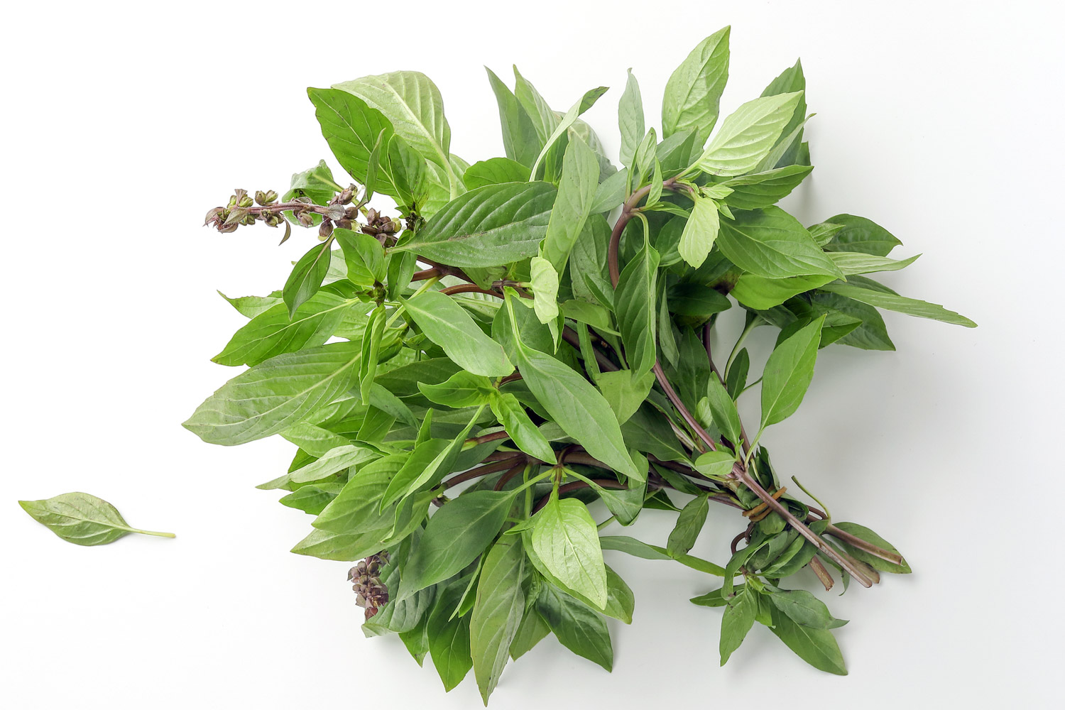 Best Perilla Leaves Substitute for That Minty and Spicy Flavor The