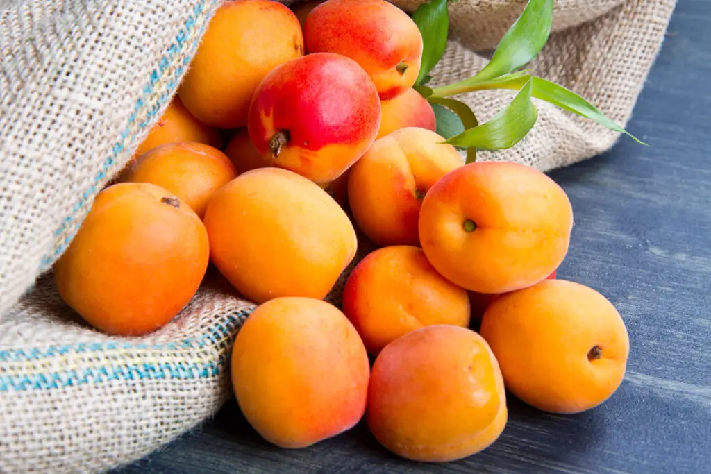 apricots are orange colored fruits