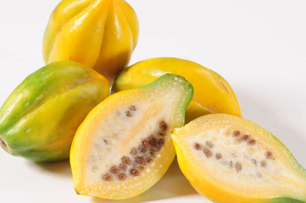 Chilean Papaya close up and cut in half showing pulp and seeds