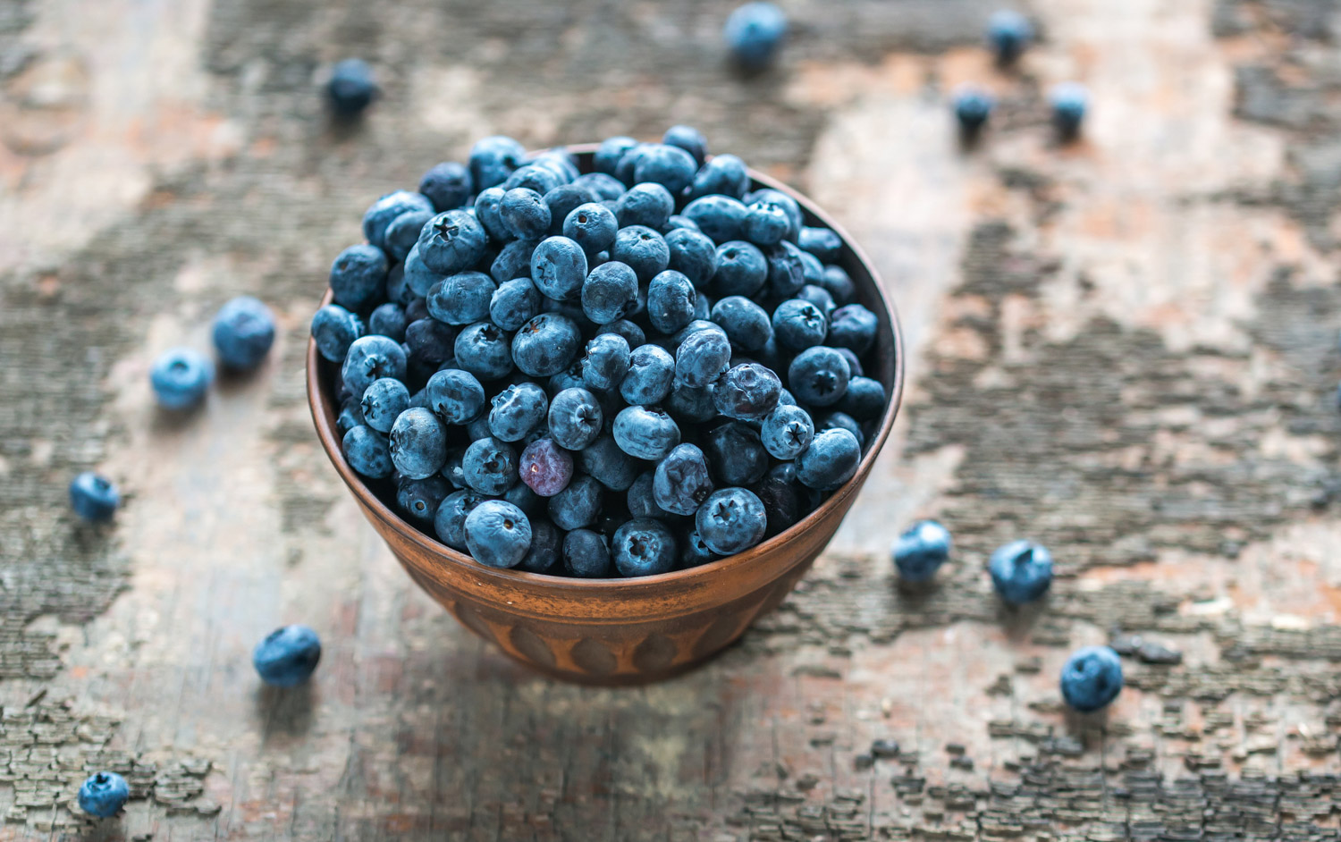Chilean Blueberries Savoring The Sweet and Juicy The Roaming Fork